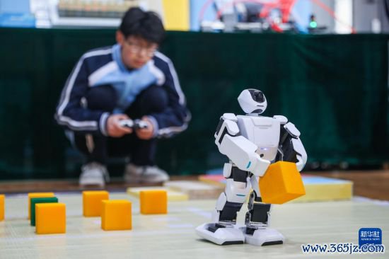 山东日照：以赛砺技育匠心